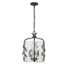  3160-3P NB-HWG - Calla 3 Light Pendant in Natural Black with Hammered Water Glass Shade